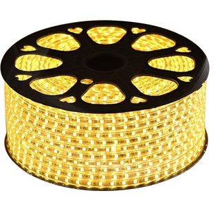 FSL佛山照明led灯带户外防水220v客厅外墙工程室外暖光高压带灯条