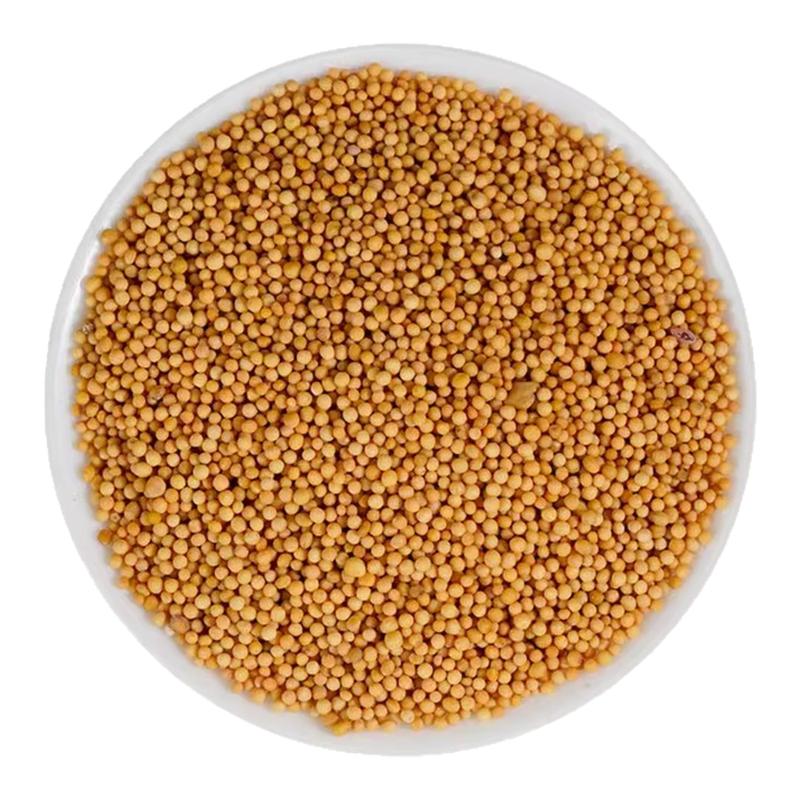 正宗白芥子辣菜子泡茶泡水500g