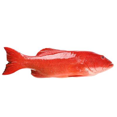 东星斑石斑鱼新鲜冷冻深海鱼海鲜