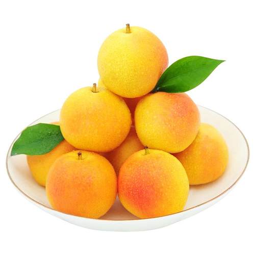 正宗鞍山特产南果梨新鲜水果当季东北辽宁南国梨红果小香梨子顺丰