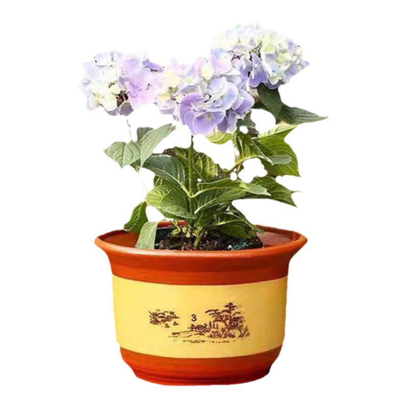 特大号陶瓷花盆 红陶 兰花盆 盆景 粗砂花盆 紫砂包邮透气带托盘