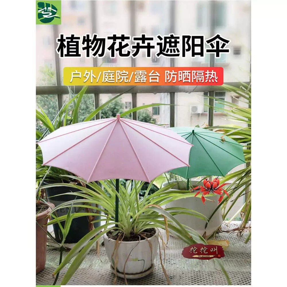 多肉盆栽防晒伞阳台幼苗遮阳伞地插款植物保护伞防晒隔热迷你伞 - 实物图