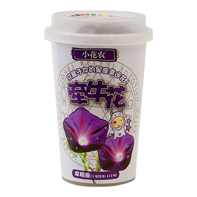 小花农十二星座创意益智手工DIY盆栽学生奖品套装植物办公幸运花