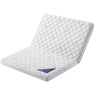 天然3e椰棕折叠棕榈踏踏米垫定制尺寸榻榻米床垫儿童订做乳胶护脊