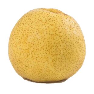 正宗砀山梨百年老树梨现摘现发新鲜包邮产地直发沙土地砀山酥梨