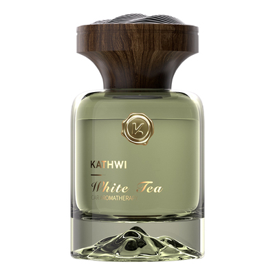 科净威观山车载香水净化空气香薰