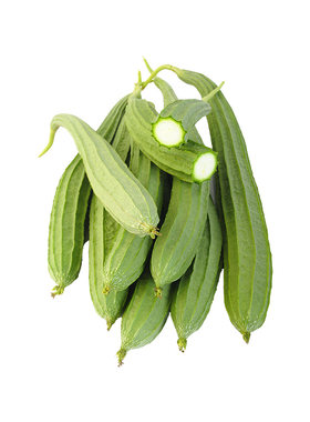 丝瓜苗盆栽蔬菜种苗阳台种植