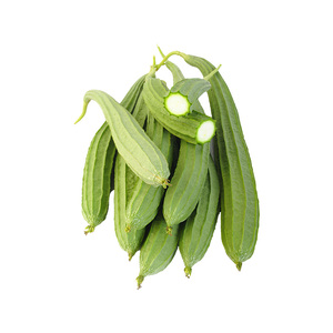 肉丝瓜苗带土嫁接大号四季蔬菜种子寿光高产本地老品种长水瓜秧苗