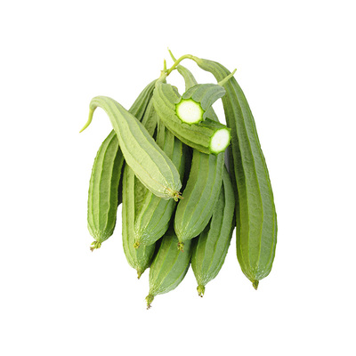 丝瓜苗盆栽蔬菜种苗阳台种植