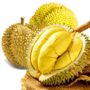 泰国金枕榴莲新鲜水果10斤当季进口巴掌小榴莲榴莲肉冷冻顺丰包邮