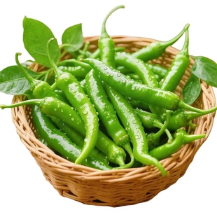 正宗樟树港辣椒种子羊角土辣椒孑特产牛角椒湖南微中辣椒