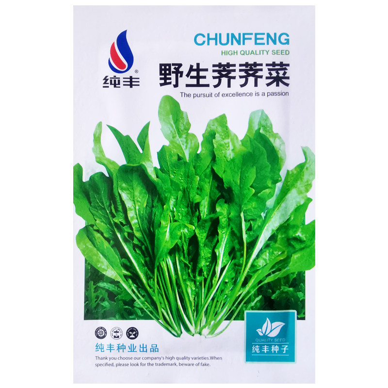 野生荠荠菜种子农家播种植大叶春季食用野菜阳台盆栽疏蔬菜种籽孑