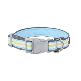 狗项圈牵引绳套装中小型犬泰迪比熊遛狗绳宠物专用大狗脖圈拴狗绳