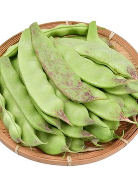 东北油豆角新鲜现摘当季蔬菜包邮