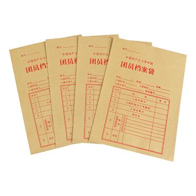 共青团团员资料档案袋档案袋