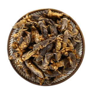 仙太医蝼蛄干500g蝼蛄中药材野生拉拉蛄地拉蛄天蝼土狗蝼蛄蝼蛄粉