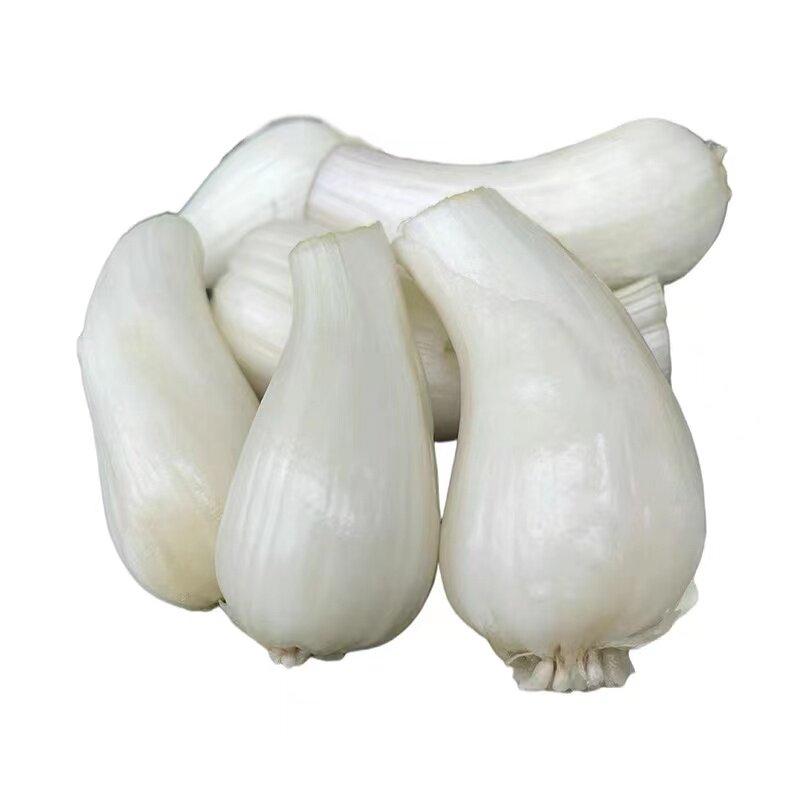 新鲜四川藠头8斤去叶藠头荞头时令蔬菜农家自种小蒜茭头光藠头泡
