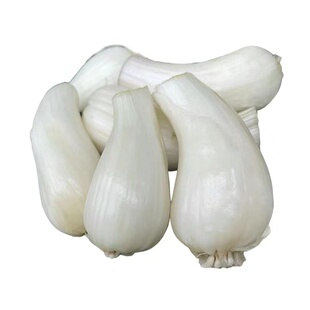 新鲜四川藠头8斤去叶藠头荞头时令蔬菜农家自种小蒜茭头光藠头泡