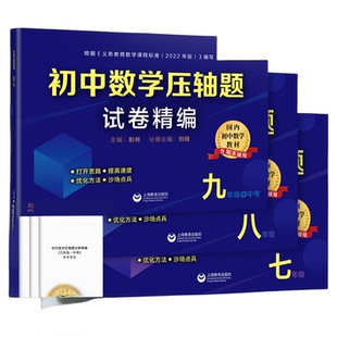 初中数学压轴题试题精编七年级八九中考\8\9解题方法技巧思维训练专项重难点易错突破举一反三尖子优等生培优提高试卷冲刺辅导
