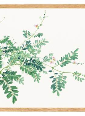 中式水彩绿植字画装饰画