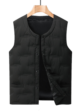 雪中飞鹅绒羽绒服马甲