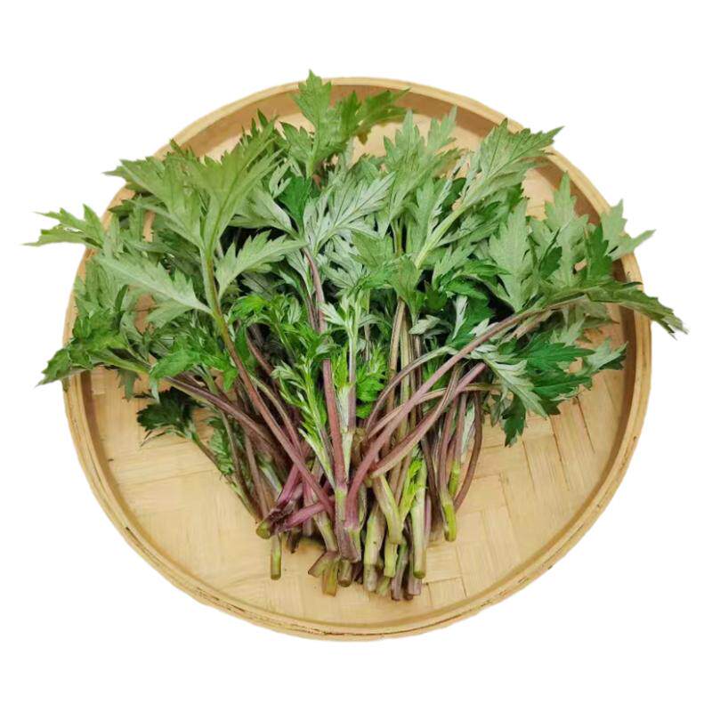 广西艾叶草新鲜采摘野生小叶艾草制作青团糍粑食用野菜