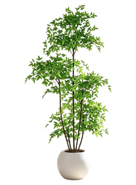 仿真植物南天竹落地盆栽室
