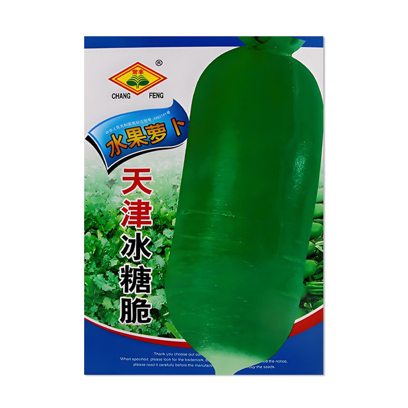 常丰天津冰糖脆萝卜种子大青萝卜
