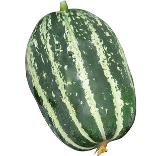 特大甜瓜香瓜种子种籽孑黑面瓜四季香甜羊角酥蜜牛角蜜瓜大全秧苗