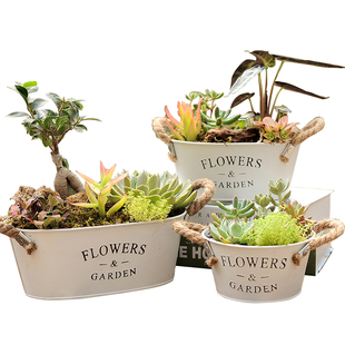 北欧铁皮花桶白色创意多肉植物花盆zakka铁艺个性花器花筒带托盘