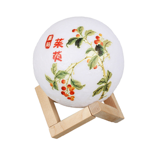 重阳节手工diy台灯茱萸菊花装饰老年人简单制作社区敬老活动礼物