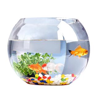 小鱼缸圆形迷你缸办公室小型家用迷你桌面透明客厅加厚玻璃金鱼缸