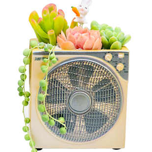 造型独特的花盆异形创意新款复古80后90年代怀旧老物件多肉小盆栽