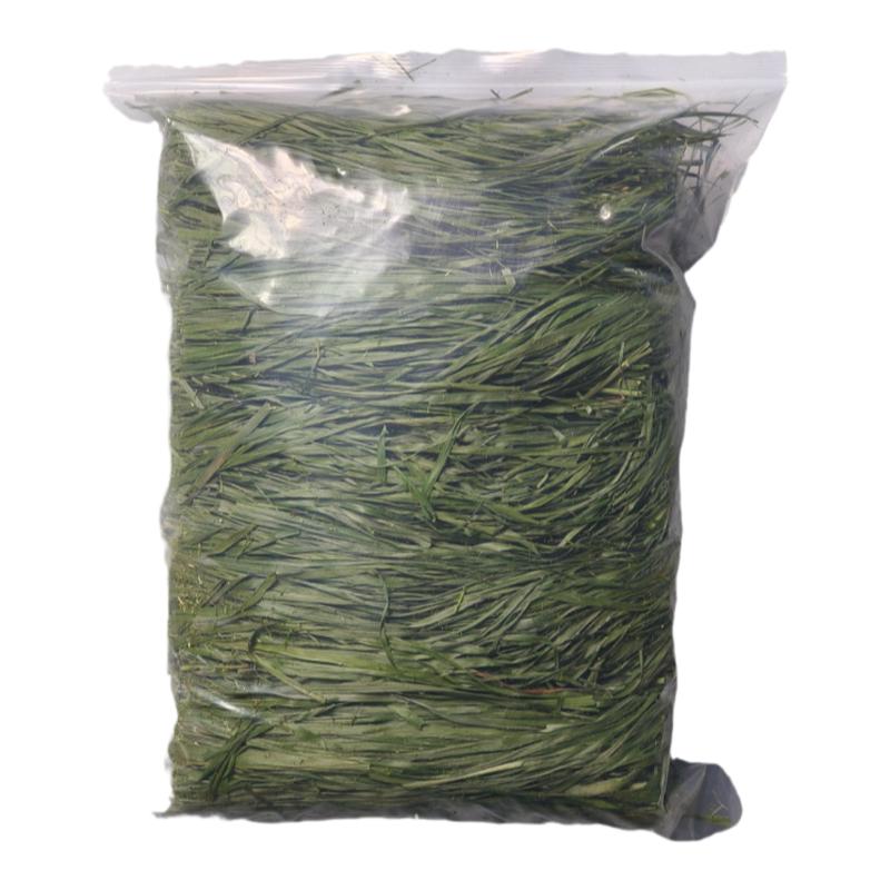繁星牧草精品烘干头茬提摩西草兔草提草龙猫荷兰猪牧草岷县北提