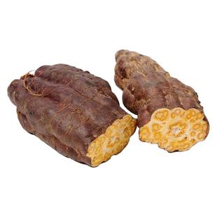 何首乌种子中草药种籽药用植物种子高产春秋四季阳台盆栽蔬菜种孑