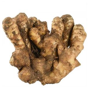 山东大姜优质生姜老姜新鲜大黄姜精品带泥生姜块老生姜老黄姜包邮