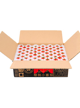 一柿缘小番茄单粒礼盒顺丰包邮