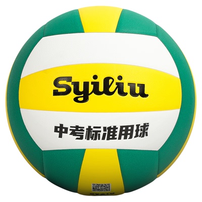 双一流体育中考排球考试训练排球