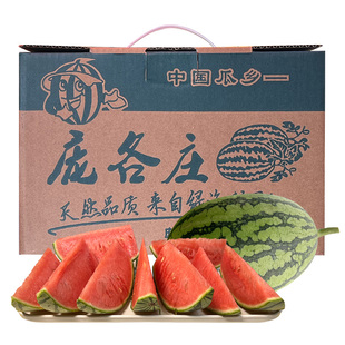 大兴庞各庄小西瓜 新鲜水果应季L600 非麒麟手撕现摘迷你头茬吊瓜