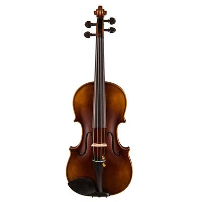 专业小提琴克莉丝蒂娜