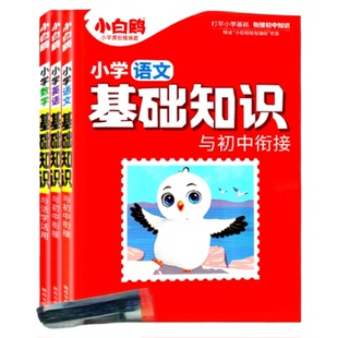 2025万唯小白鸥小学基础知识与初中衔接大全语文数学英语人教版小升初总复习强化训练四五六年级小白欧语文数学基础知识手册小白鸥
