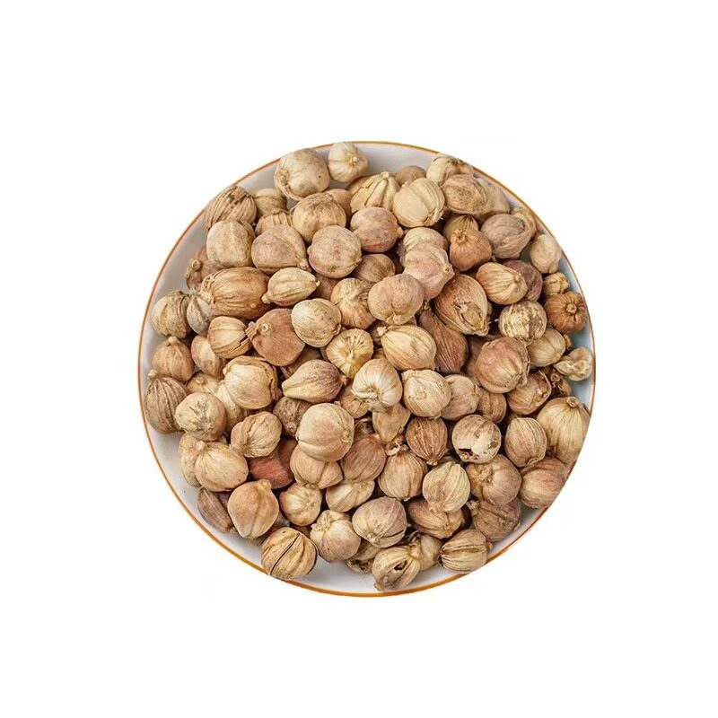 特级中药材白豆蔻天然野生白豆蔻香料调料白豆蔻粉白豆蔻调料商用
