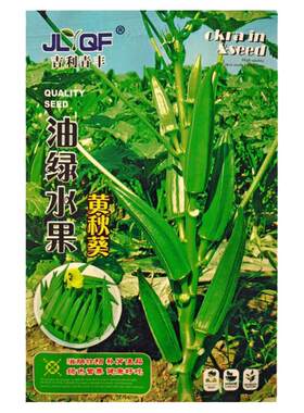 阳台盆栽黄秋葵种子金种子