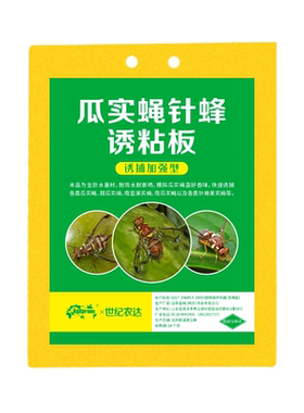 针蜂贴瓜实蝇粘虫板诱捕器黄板双面菜地果蝇丝瓜苦瓜菜园强力特效