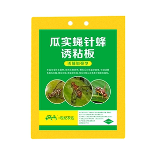 针蜂贴瓜实蝇粘虫板诱捕器黄板双面菜地果蝇丝瓜苦瓜菜园强力特效