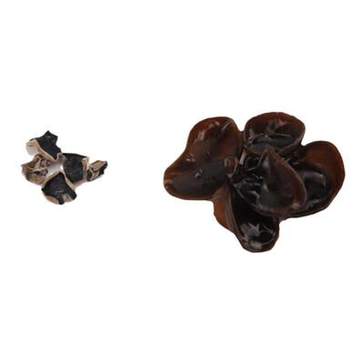 东北秋木耳 铁岭刘迁榛子 野生黑木耳 礼盒55 包邮