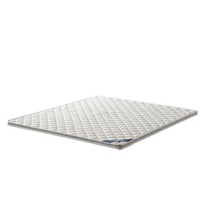 双虎床垫硬垫薄椰棕床垫护腰护脊学生宿舍棕榈垫床垫纤维棕垫2.0