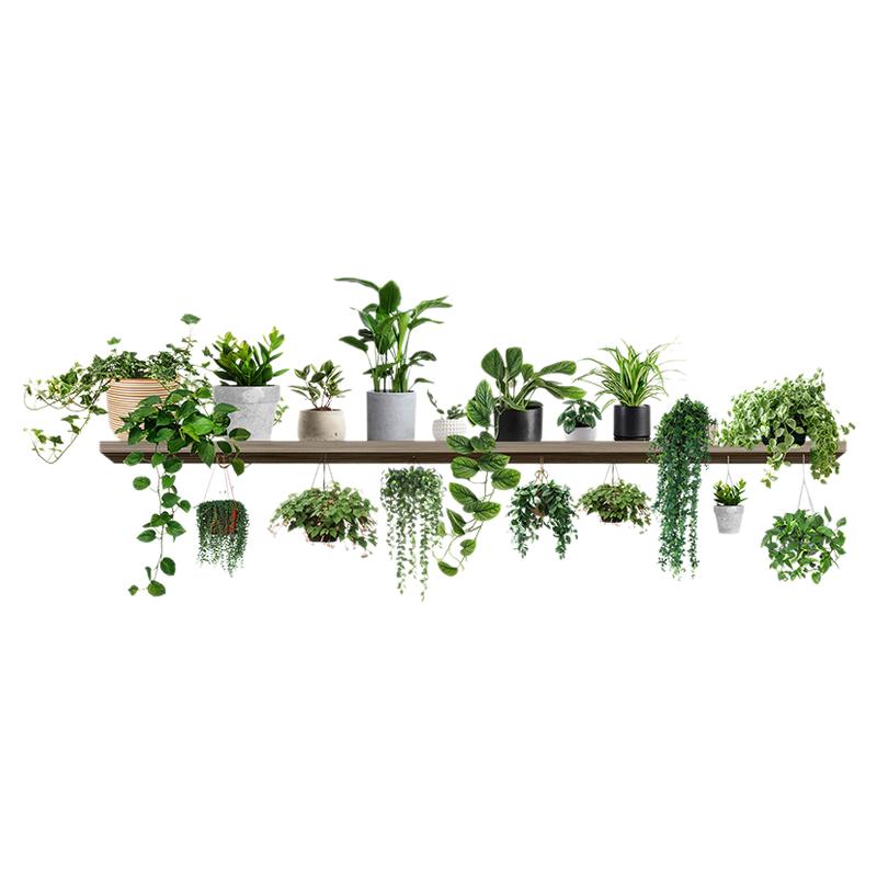 室内小清新藤蔓绿植蝴蝶出租屋厨房客厅墙面美化装饰墙贴纸自粘