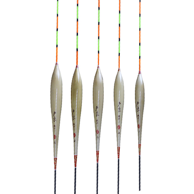 卢良芦苇浮漂黑坑野钓综合混养