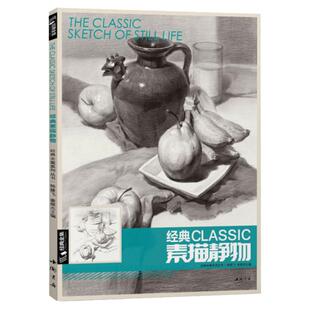经典全集 素描静物组合临摹书籍美术基础技法结构到位绘画册照片风暴高艺联考主导陈敲平陶罐门砖教学程材大八开范本正版杨建飞